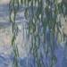 Waterlilies (detail)
